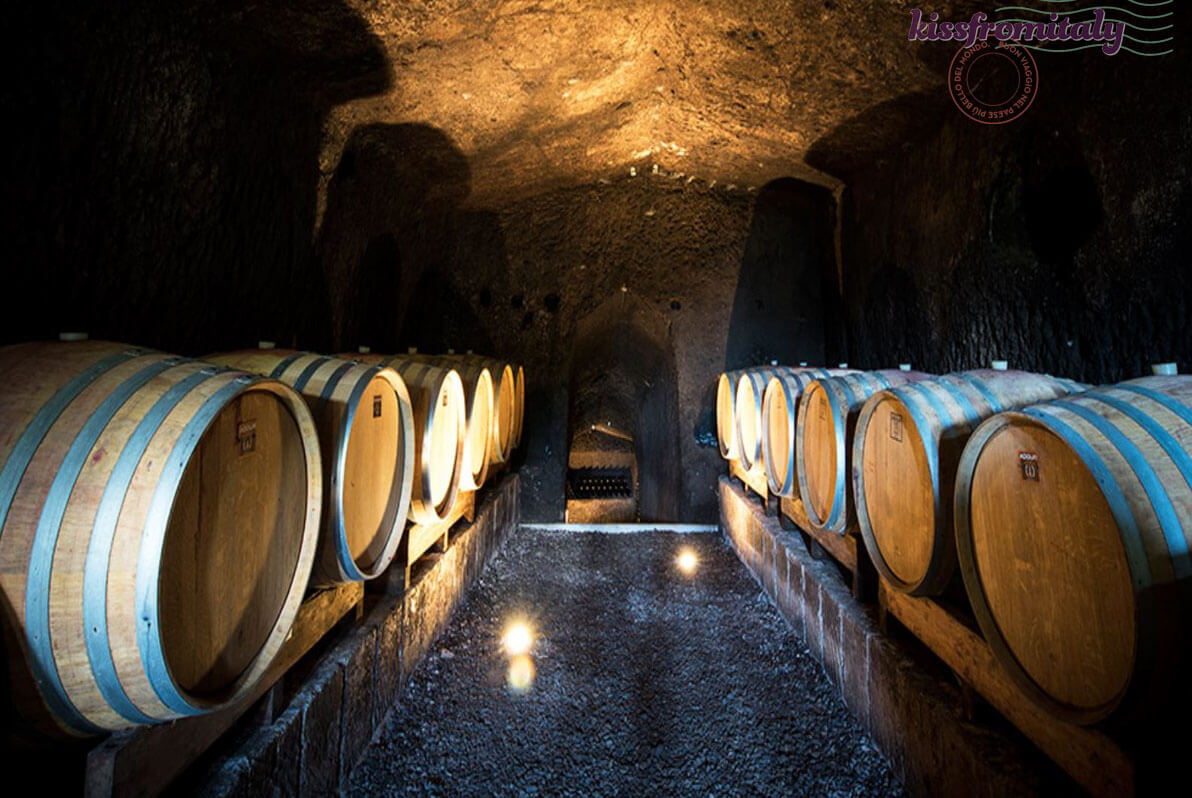 orvieto winery tour