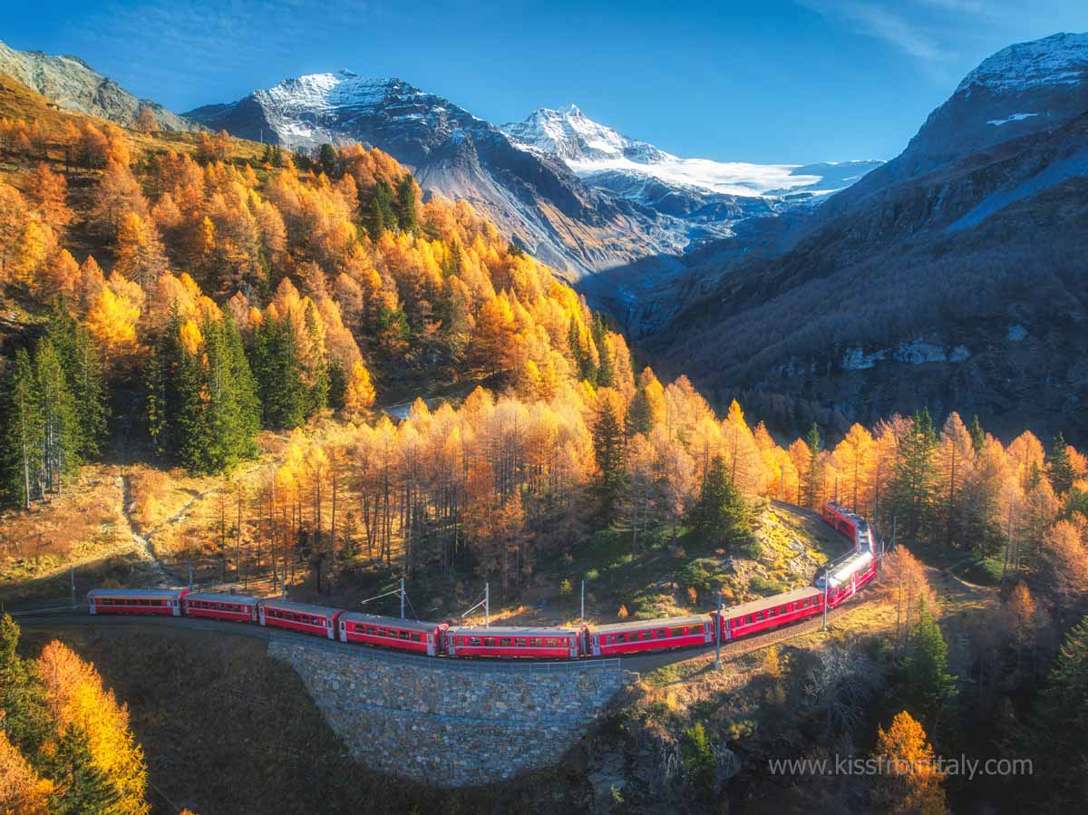 Bernina Express red train riding on the Alps during autumn foliage