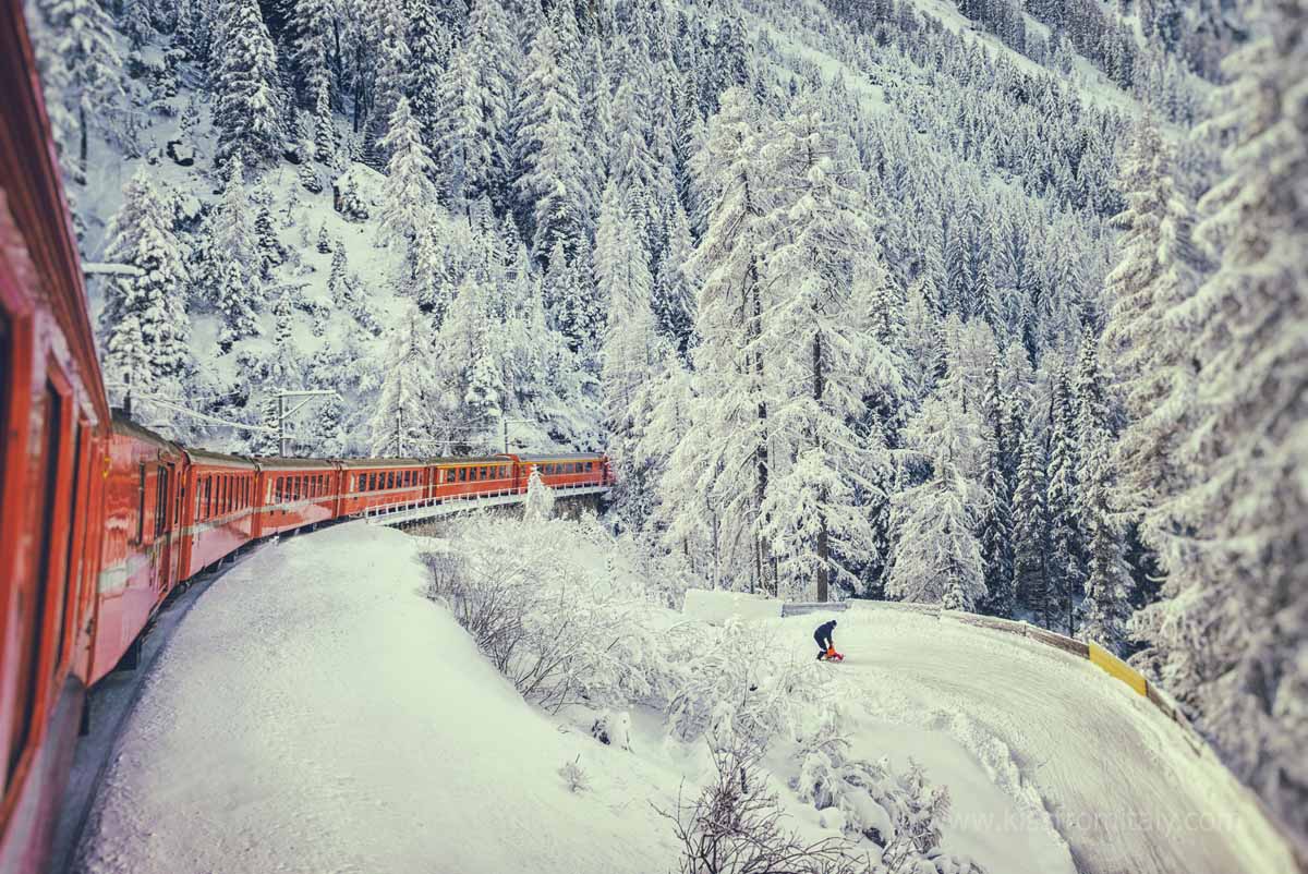 Bernina Express red train going through forest in winter with snow covered trees